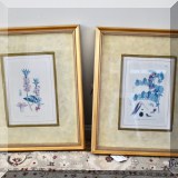 A43. Framed botanical prints.